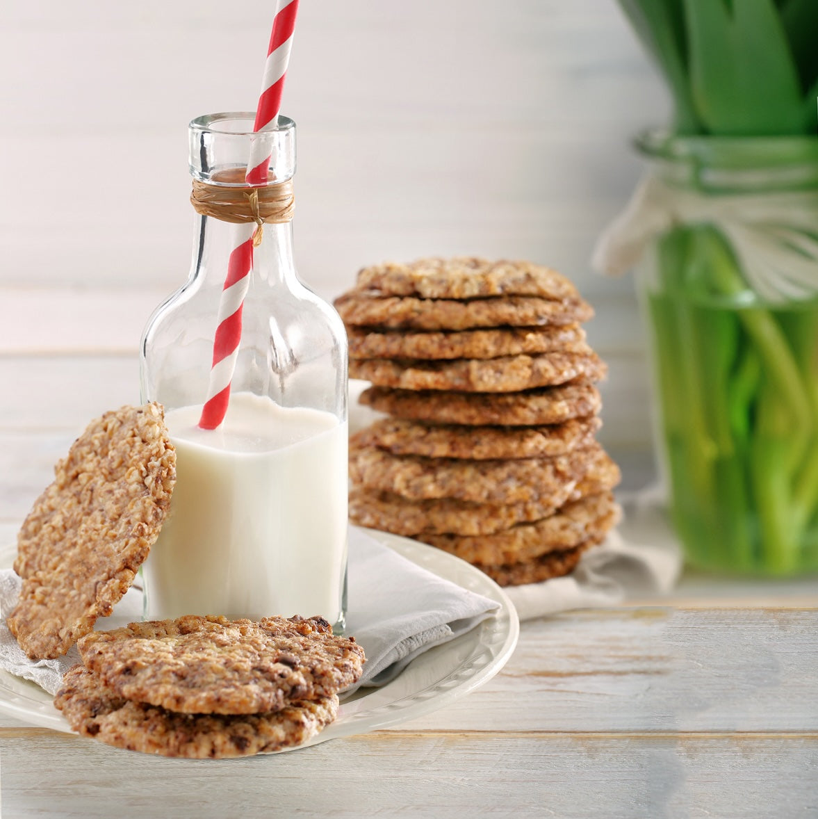 *NEW* Oatmeal Cookies - with Coconut